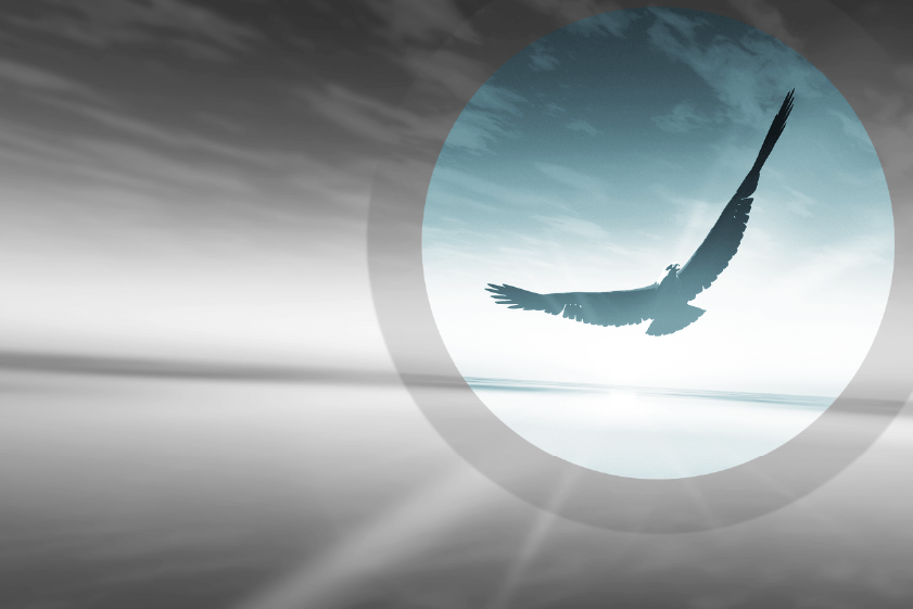 STF prorroga prazo de aprovação de lucros e dividendos da Lei 15.270/2025